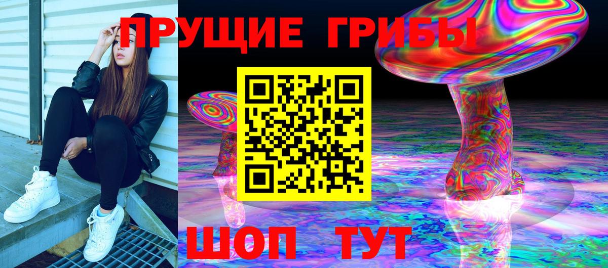 Псилоцибиновые грибы Psilocybine cubensis Ефремов