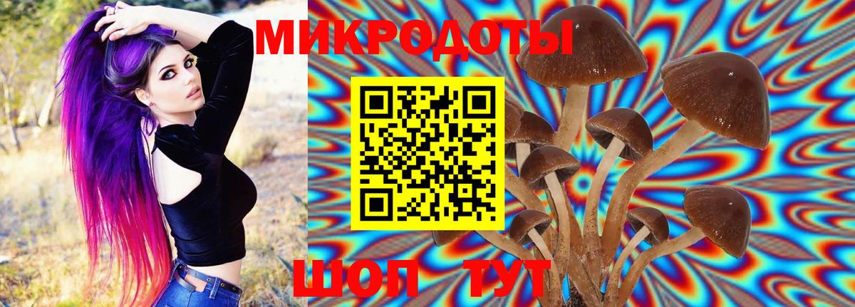 Ефремов  Галлюциногенные грибы прущие грибы  Галлюциногенные грибы MAGIC MUSHROOMS  Вход с VPN 